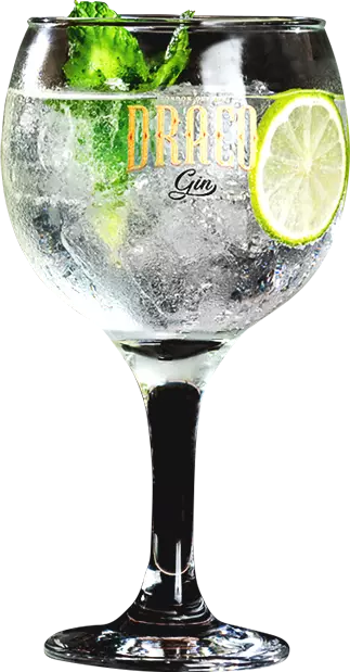 Gin Draco London Dry