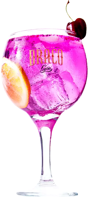 Gin Draco Hibiscus